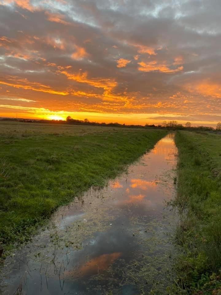 Whitstable Serenity Buitenkant foto